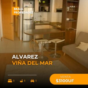 Depto céntrico Álvarez-VDM