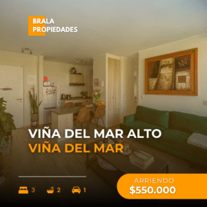 Arriendo departamento Viña del Mar Alto